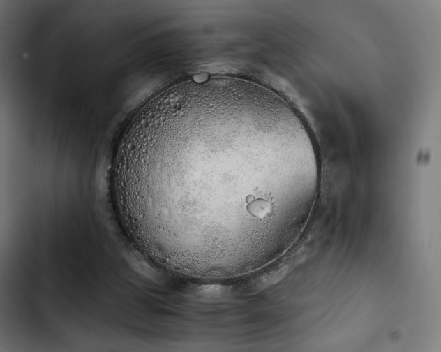 X0000103500153200809121748