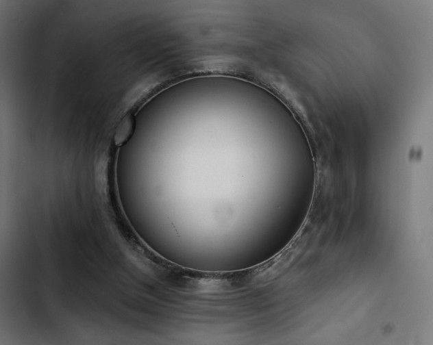 X0000103500154200809121748