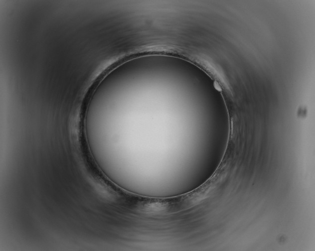 X0000103500156200809121748