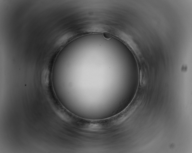 X0000103500157200809121748