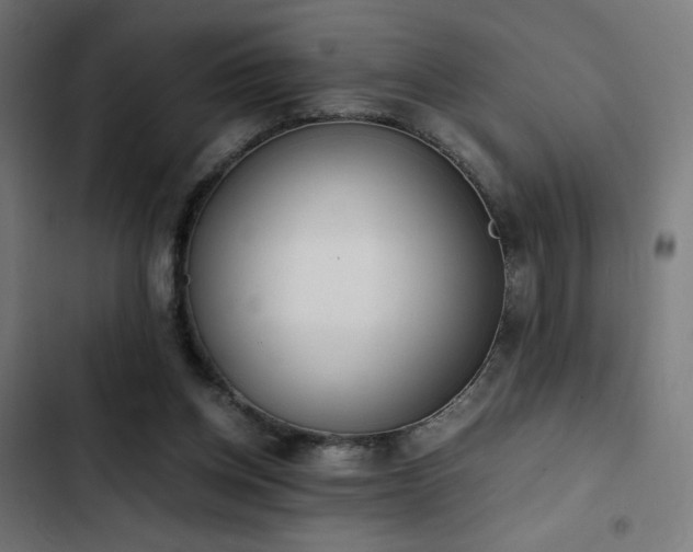 X0000103500158200809121748