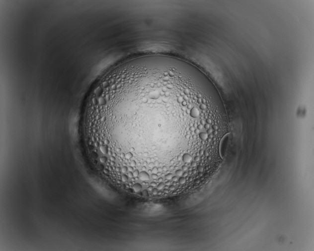 X0000103500159200809121748