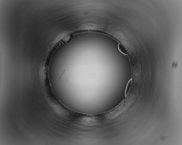 X0000103500160200809121748