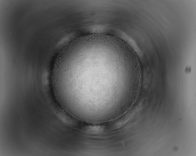 X0000103500161200809121748