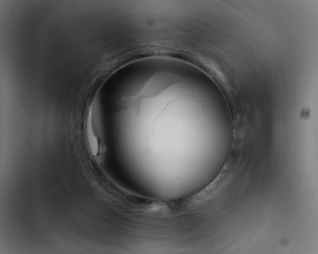 X0000103500162200809121748