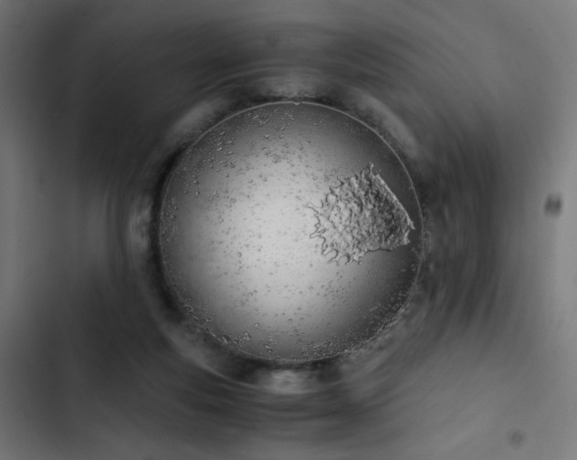 X0000103500163200809121748