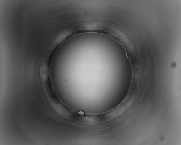 X0000103500164200809121748