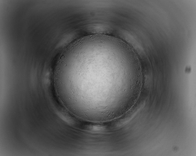 X0000103500165200809121748