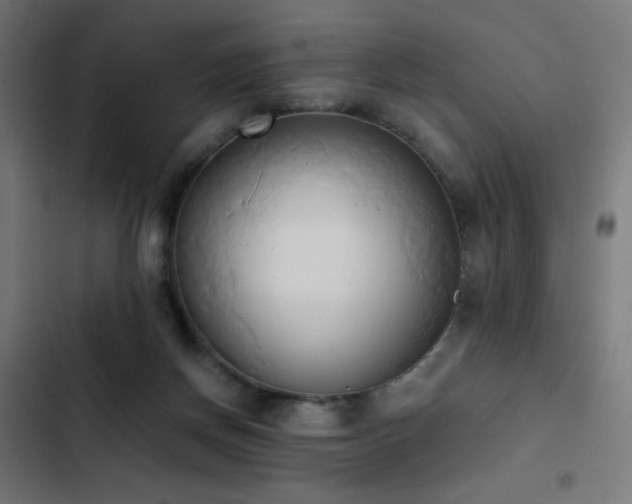 X0000103500166200809121748