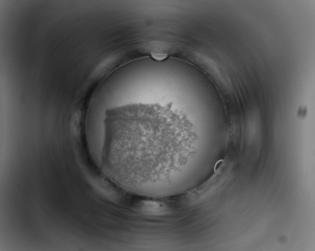 X0000103500167200809121748