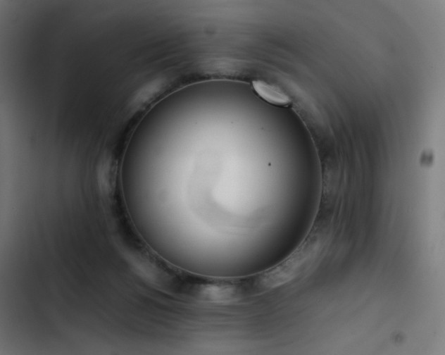 X0000103500168200809121748