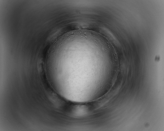 X0000103500169200809121748