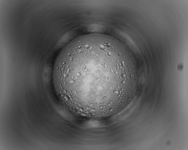 X0000103500171200809121748