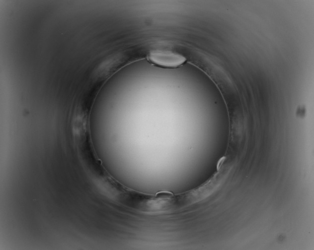 X0000103500172200809121748