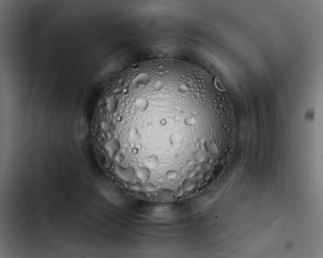 X0000103500173200809121748