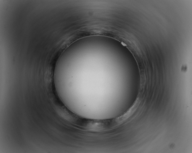 X0000103500174200809121748