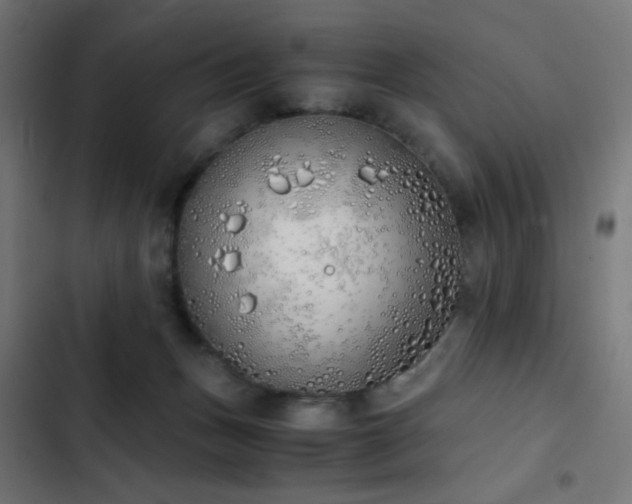 X0000103500175200809121748