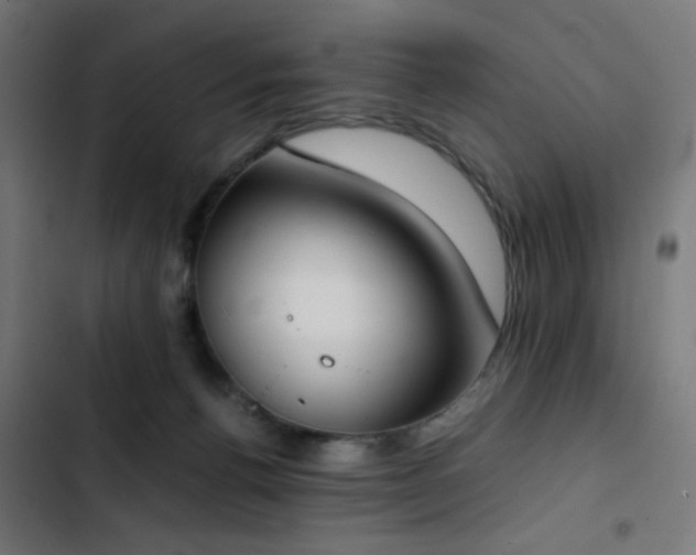 X0000103500176200809121748