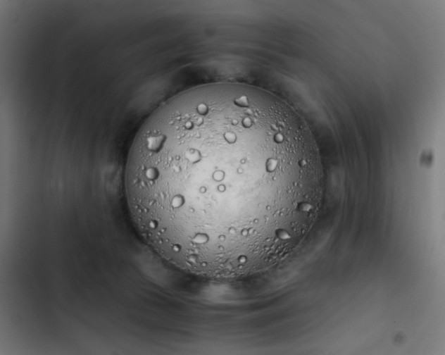 X0000103500177200809121748