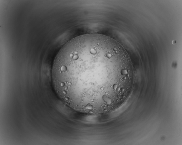 X0000103500178200809121748