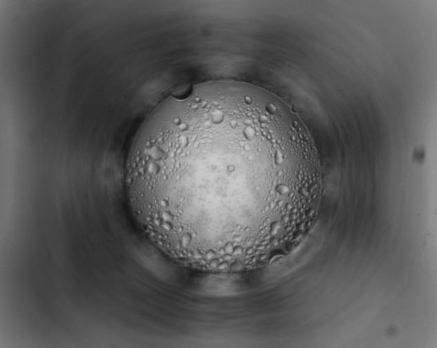 X0000103500179200809121748