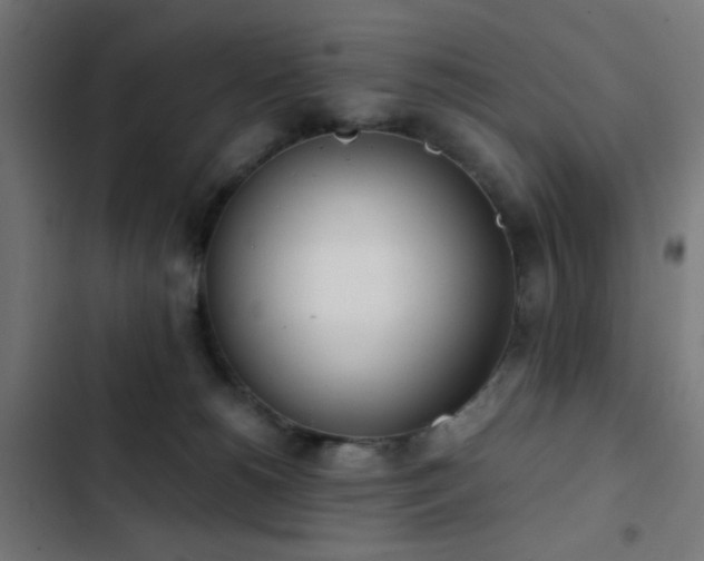 X0000103500180200809121748