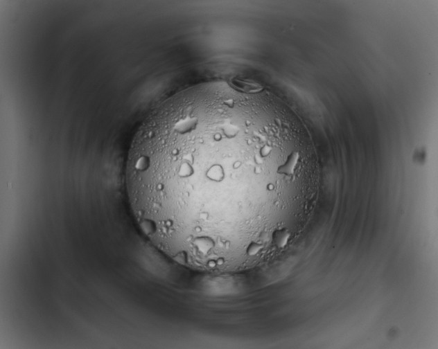 X0000103500181200809121748