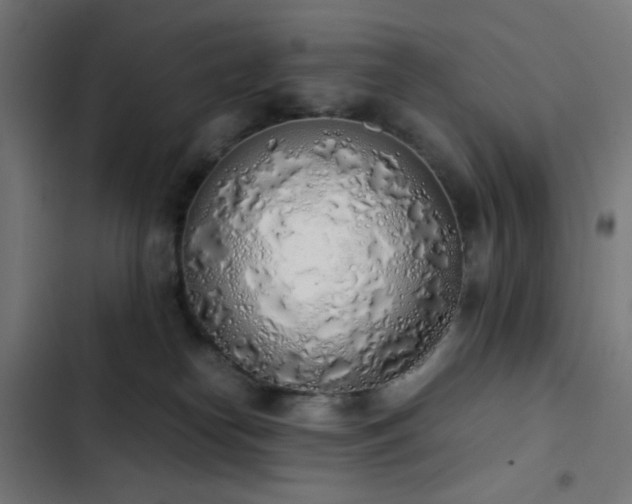 X0000103500182200809121748