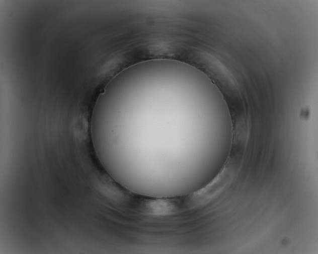 X0000103500183200809121748