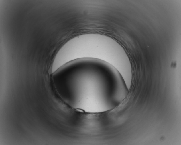 X0000103500184200809121748