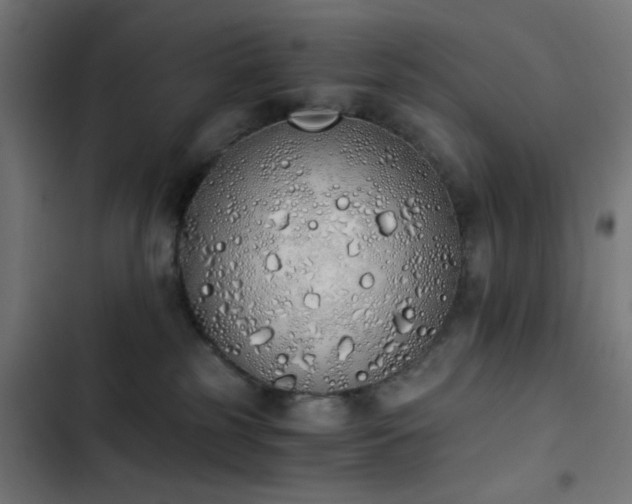 X0000103500185200809121748