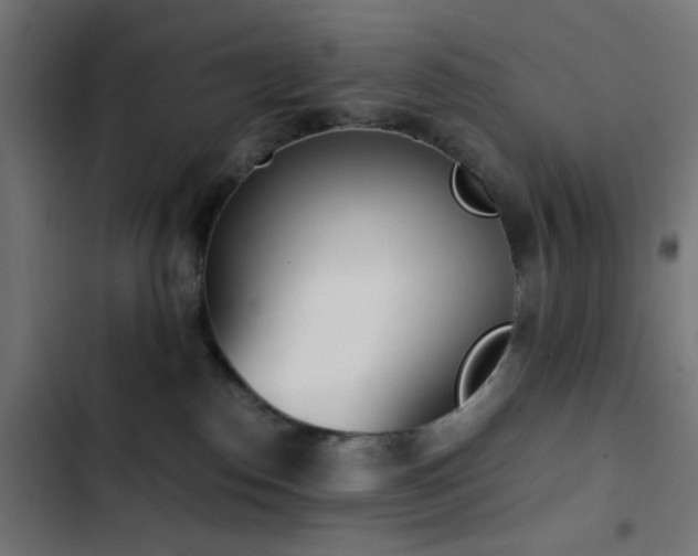 X0000103500186200809121749