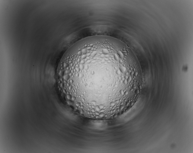 X0000103500187200809121749