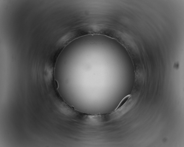 X0000103500188200809121749