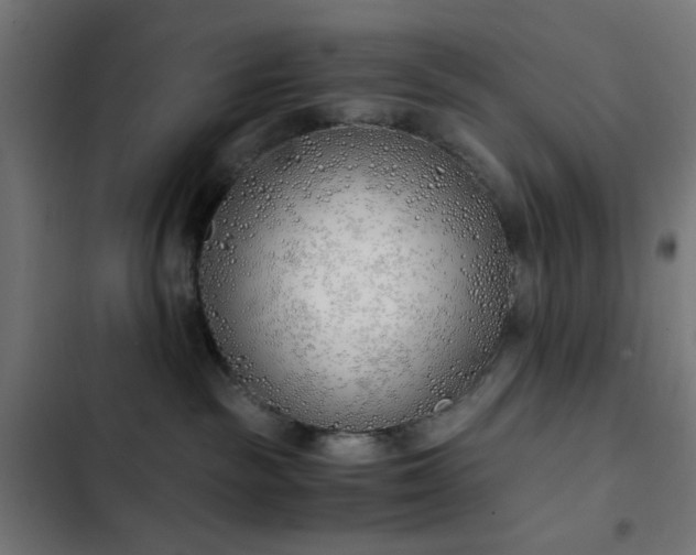 X0000103500189200809121749