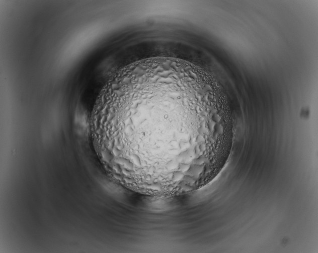 X0000103500191200809121749