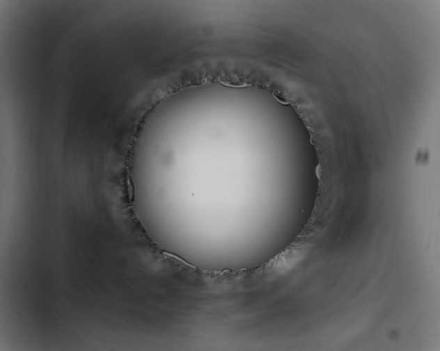 X0000103500192200809121749