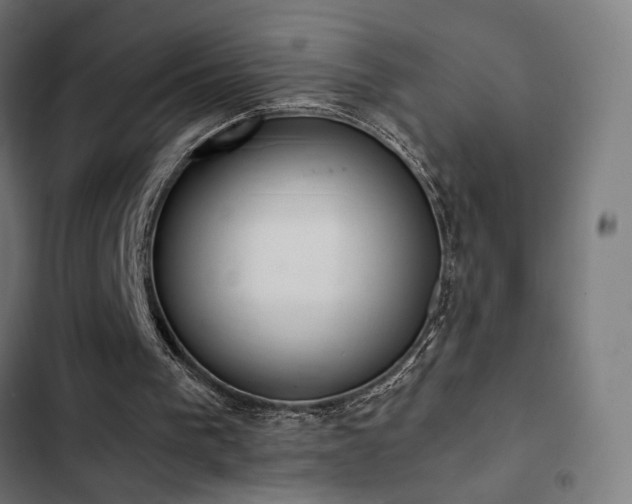 X0000103500193200809121748