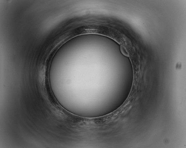 X0000103500194200809121748