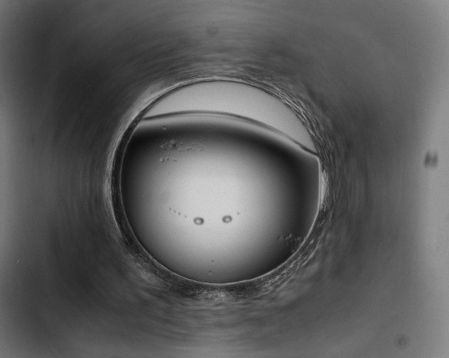 X0000103500195200809121748