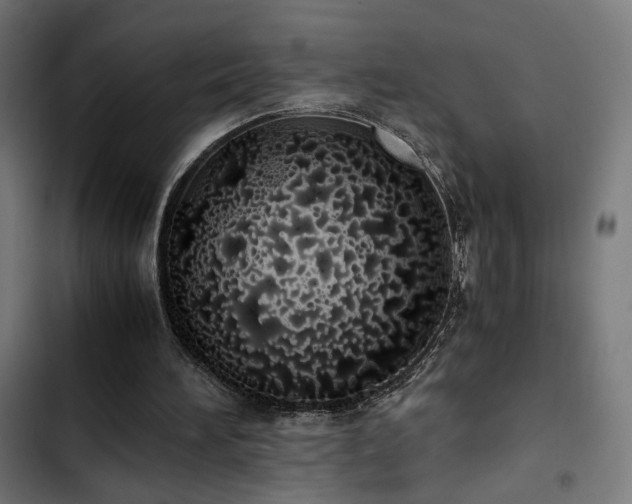 X0000103500196200809121748