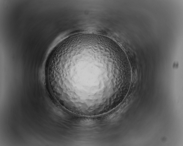 X0000103500198200809121748