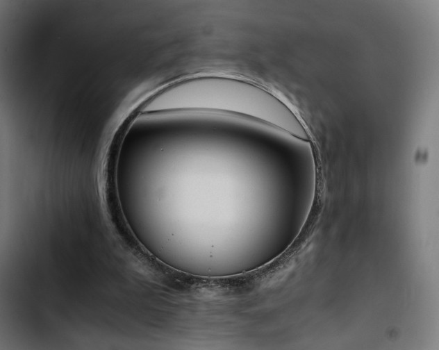 X0000103500199200809121748