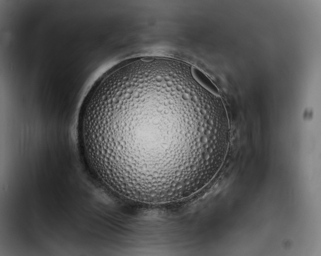 X0000103500200200809121748