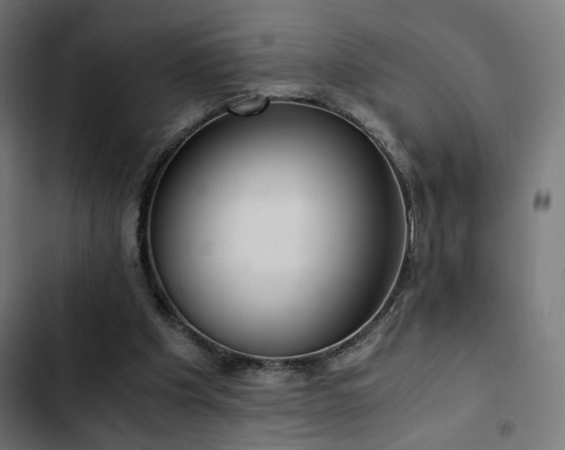 X0000103500201200809121748