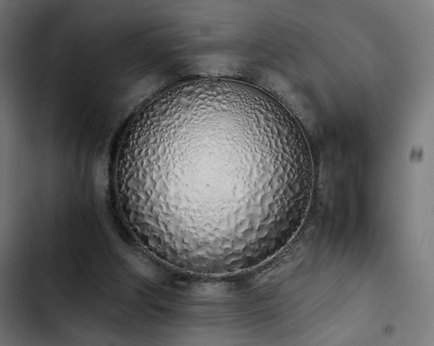 X0000103500202200809121748