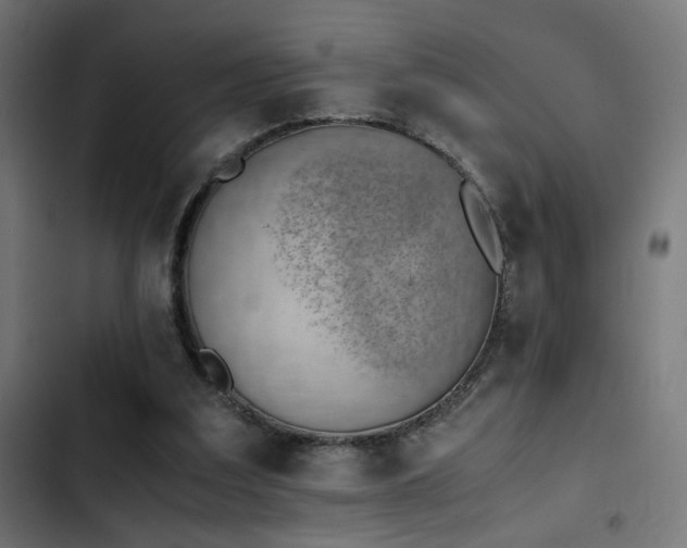 X0000103500203200809121748