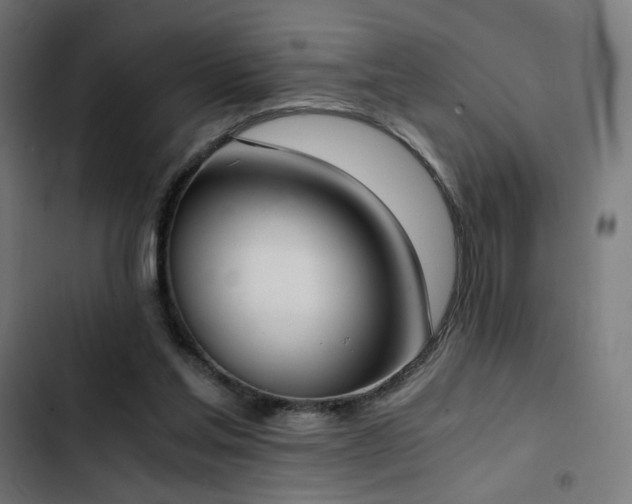 X0000103500205200809121748