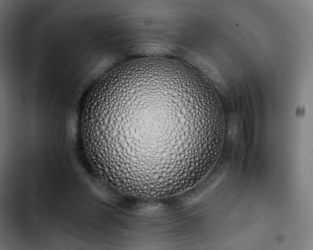 X0000103500206200809121748