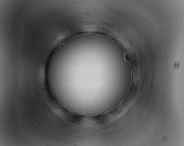 X0000103500207200809121748